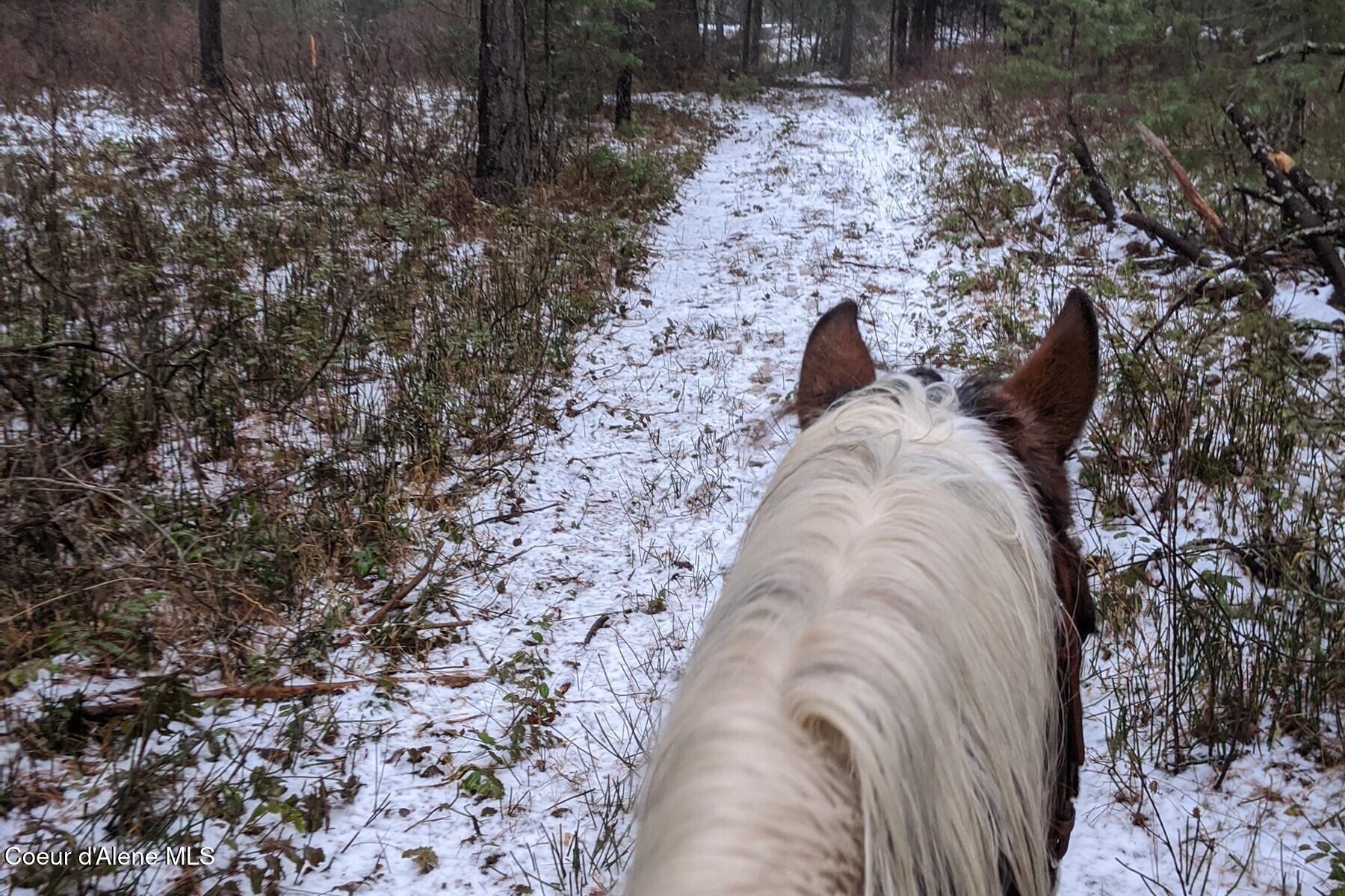 842 Samuels Road Sandpoint, ID 83864 - Photo 16 of 22 Ride Your Own Trails!