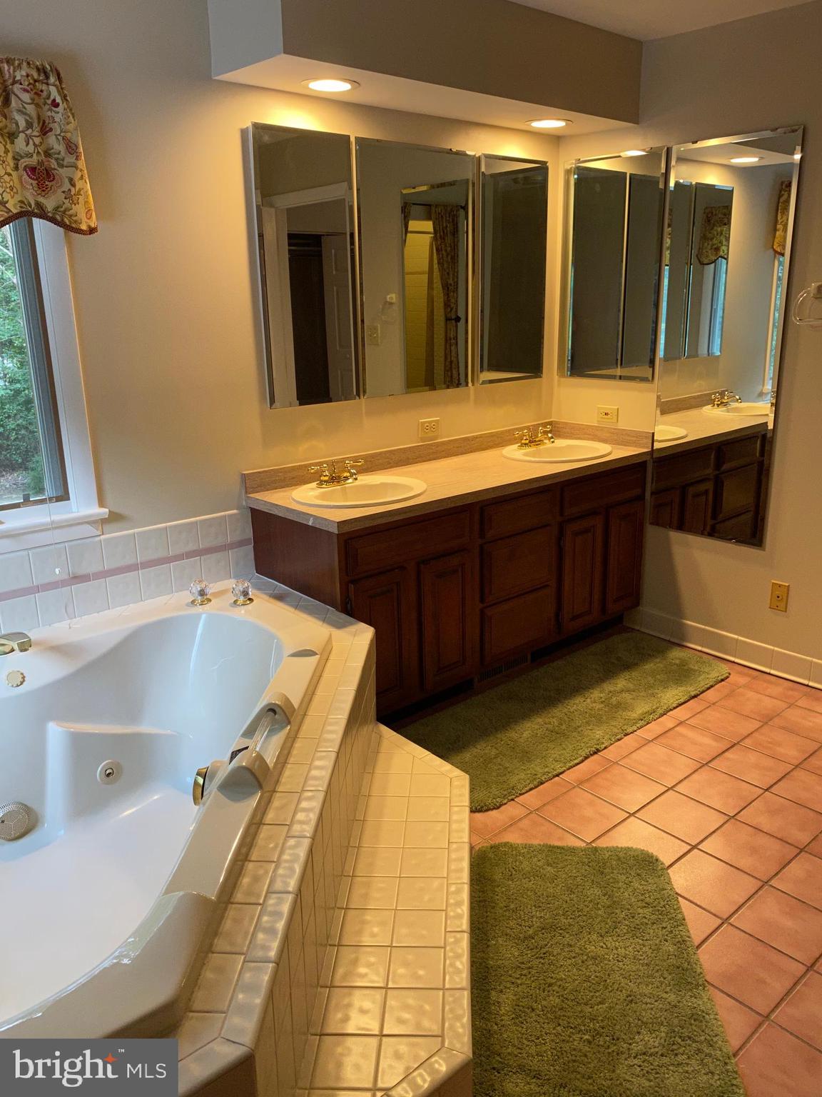 42471 Riva Ridge Drive Hollywood, MD 20636 - Photo 17 of 41 Upstairs Master bathroom