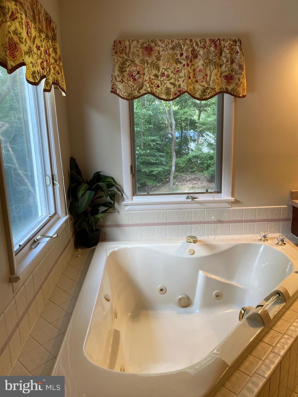 42471 Riva Ridge Drive Hollywood, MD 20636 - Photo 18 of 41 Jacuzzi tub in Master Bathroom