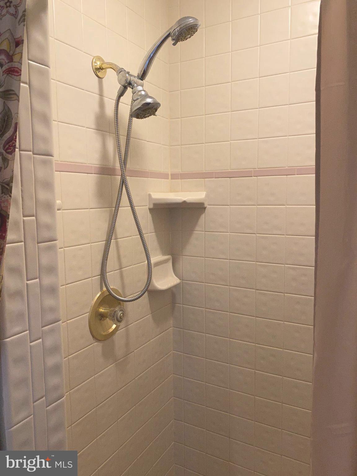 42471 Riva Ridge Drive Hollywood, MD 20636 - Photo 19 of 41 Shower in Master Bathroom