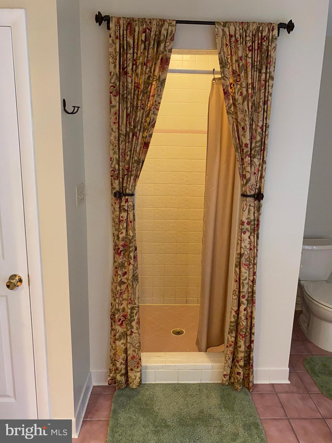 42471 Riva Ridge Drive Hollywood, MD 20636 - Photo 20 of 41 Walk in shower