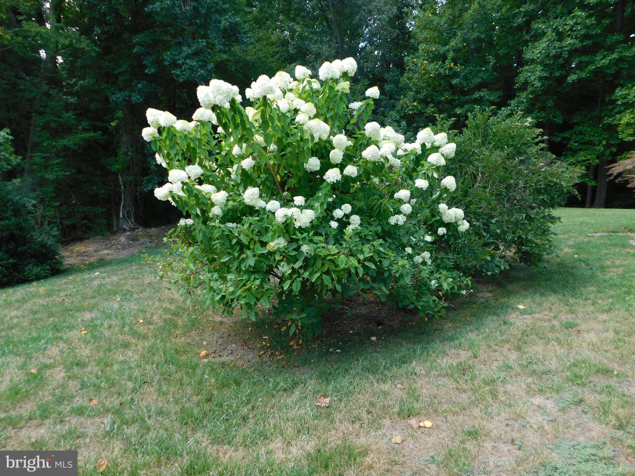 42471 Riva Ridge Drive Hollywood, MD 20636 - Photo 40 of 41 Gallery Image 40