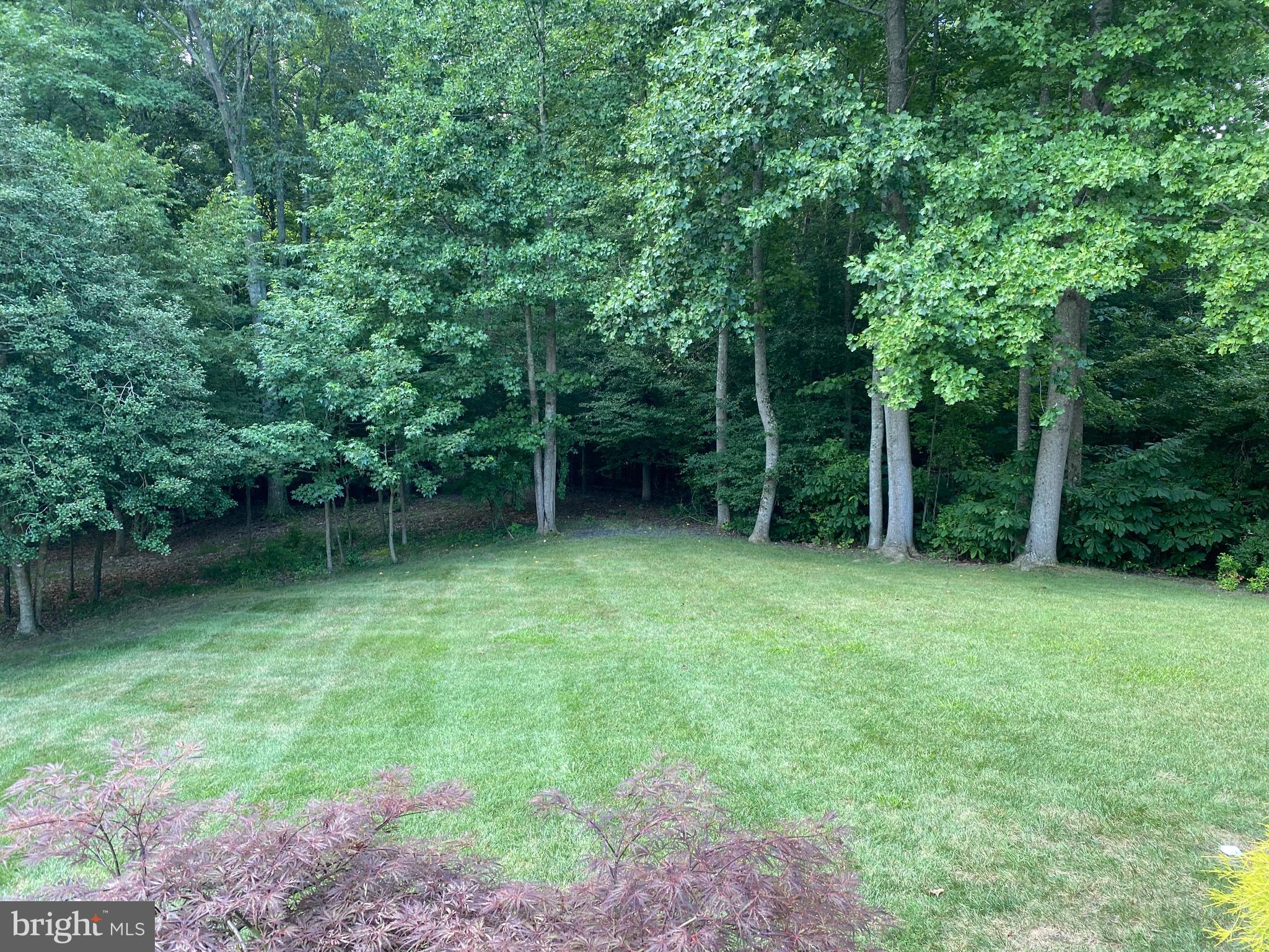 42471 Riva Ridge Drive Hollywood, MD 20636 - Photo 41 of 41 Yard backs to trees