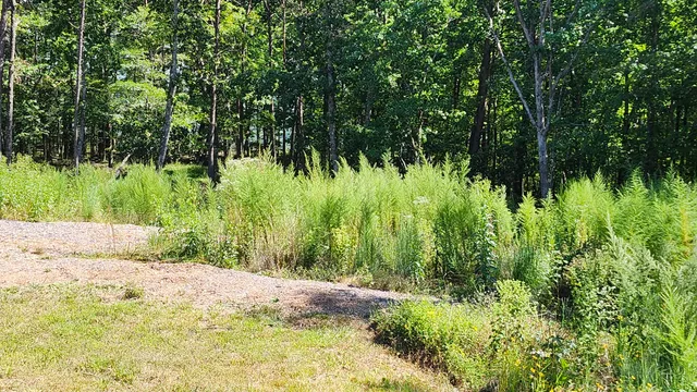 $195,500 | 705 Crockett Loop, Jasper, TN 37347