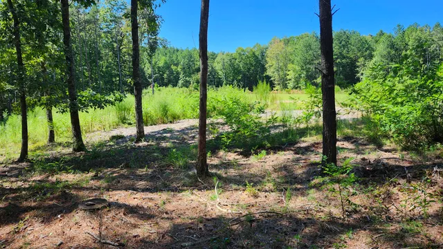 $195,500 | 705 Crockett Loop, Jasper, TN 37347