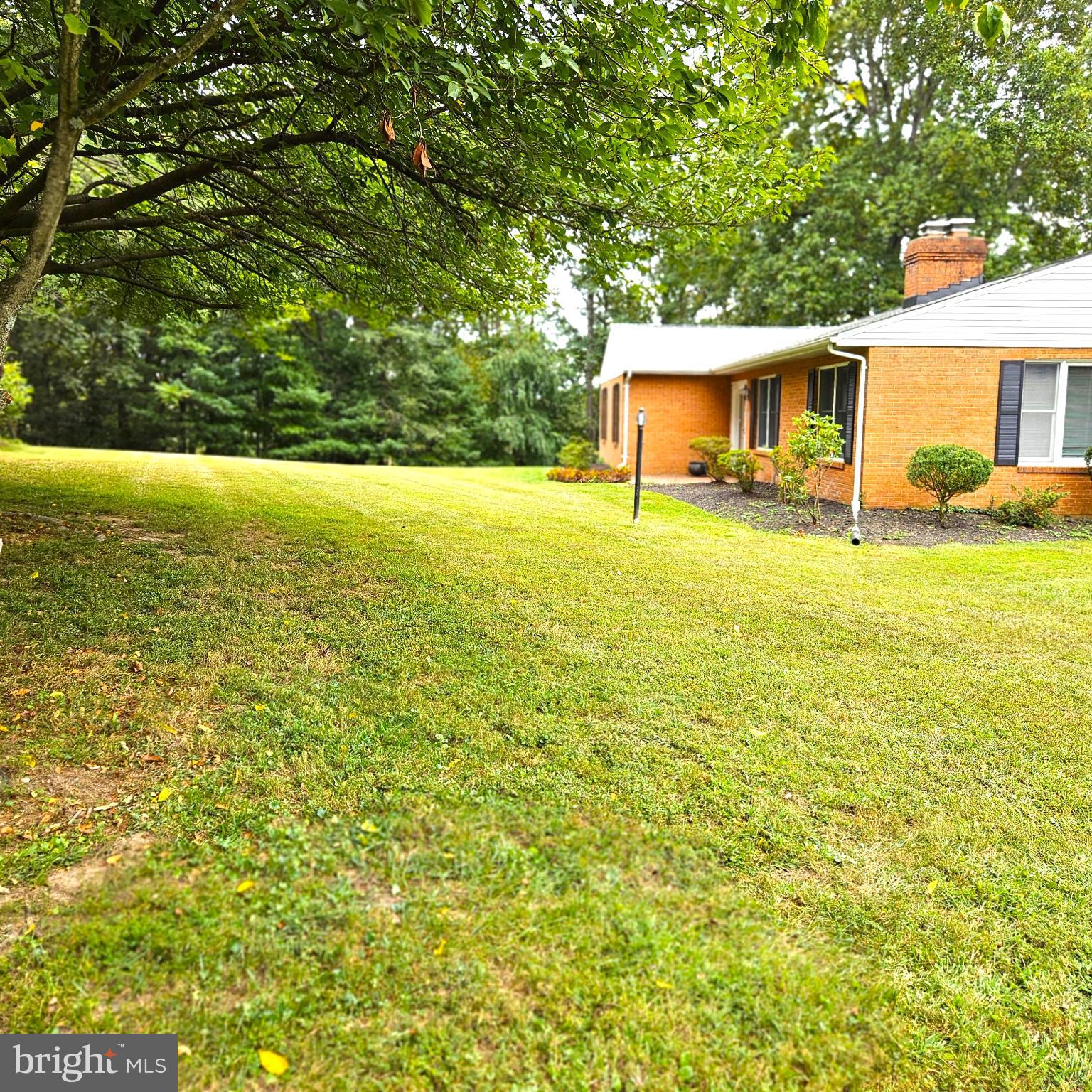 7 Skyline Lane Washington, VA 22747 - Photo 4 of 42 a view of a house with a yard