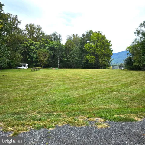 a view of a big yard with trees