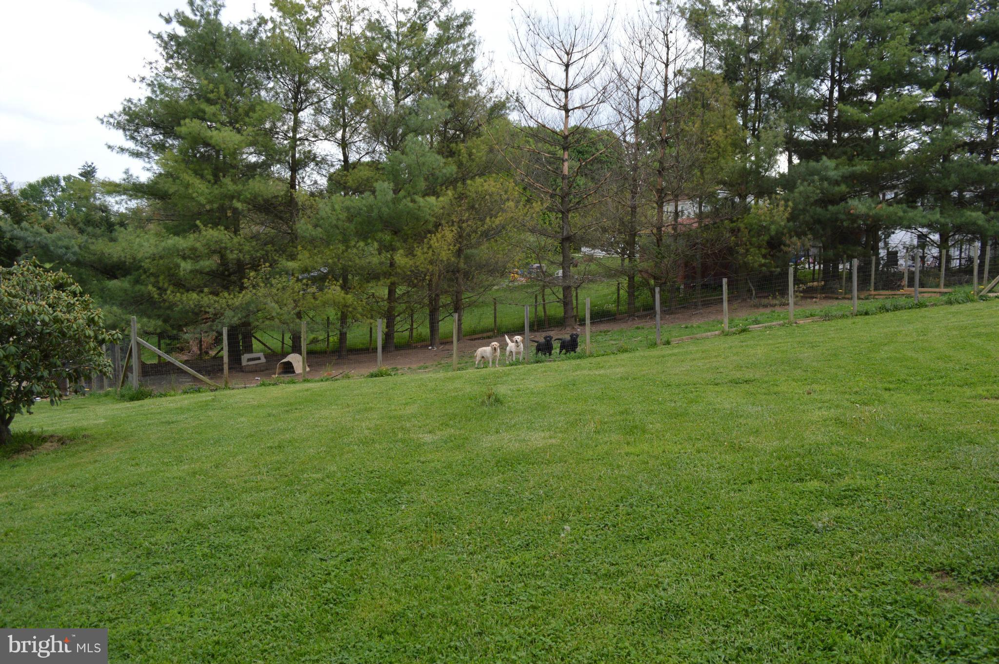 60 East Nicodemus Road Westminster, MD 21157 - Photo 12 of 21 a view of a park with large trees