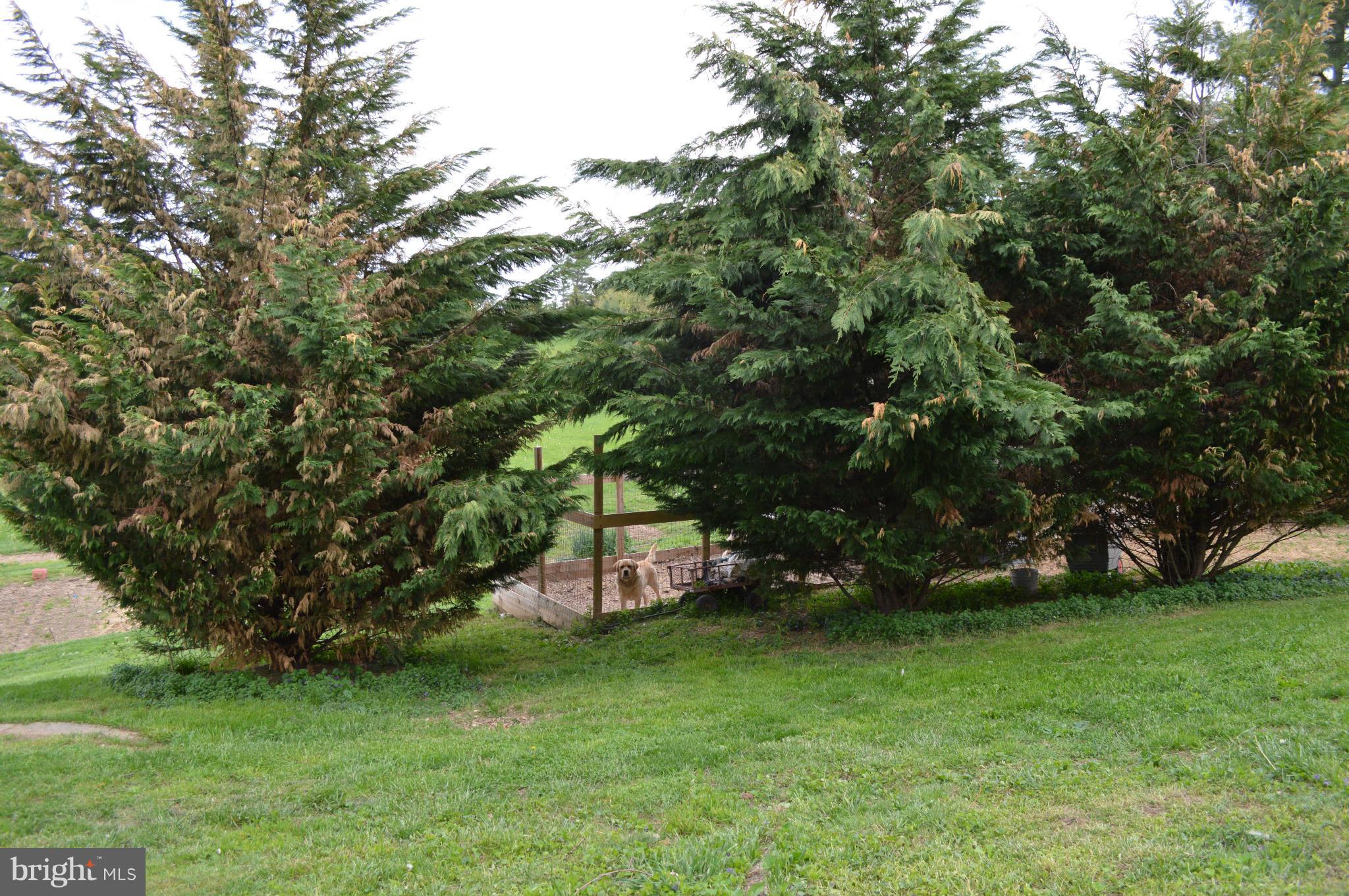 60 East Nicodemus Road Westminster, MD 21157 - Photo 15 of 21 a view of a backyard