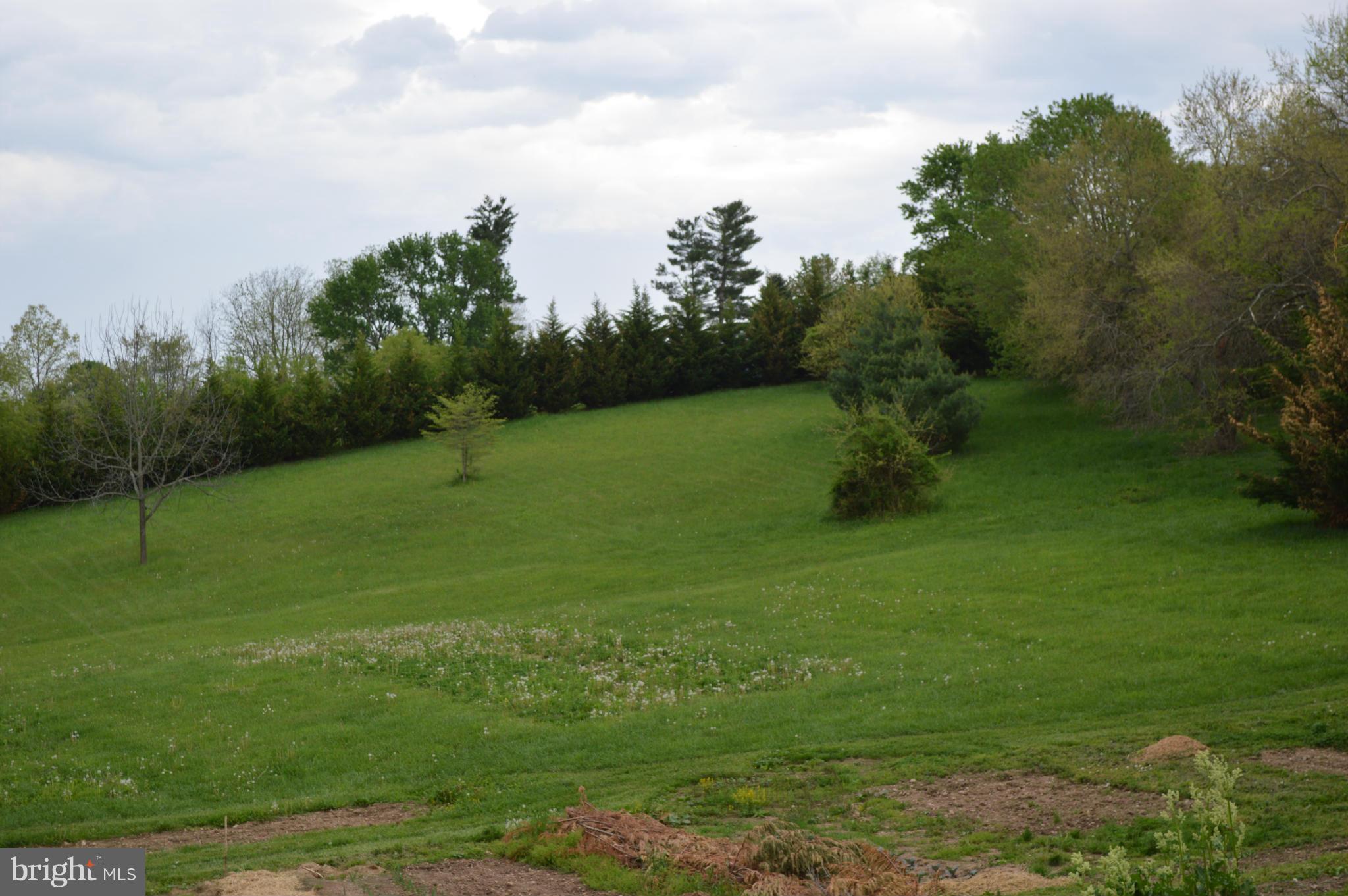 60 East Nicodemus Road Westminster, MD 21157 - Photo 17 of 21 a backyard of a house with lots of green space and lake view