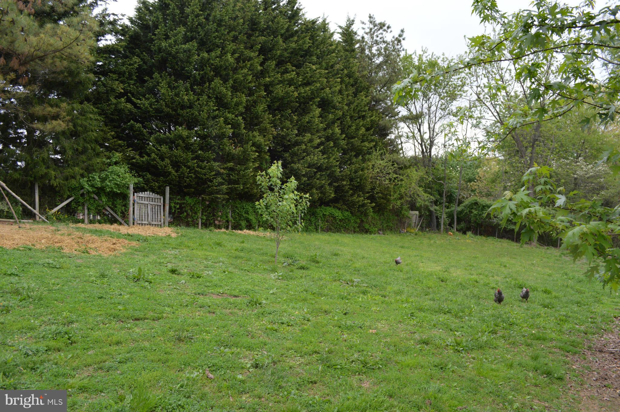 60 East Nicodemus Road Westminster, MD 21157 - Photo 19 of 21