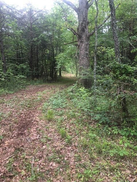 887 Swicegood Road Crossville, TN 38571 - Photo 7 of 19