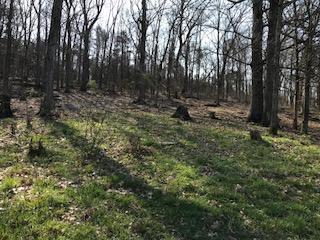 451 Piney Grove Road Somerset, KY 42501 - Photo 7 of 16 Piney Picture 9