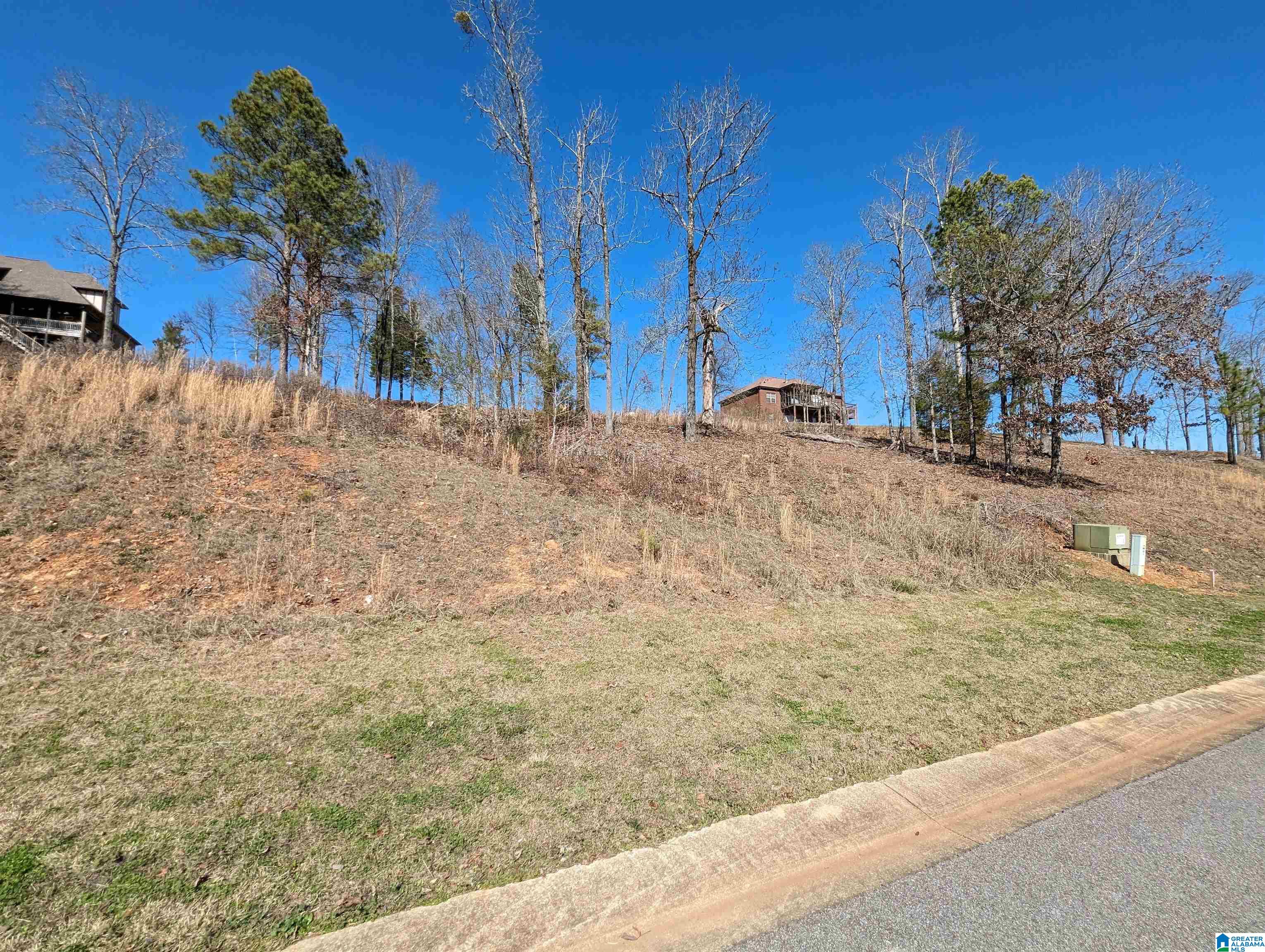0 Overlook Ridge Lincoln, AL 35096 - Photo 26 of 33