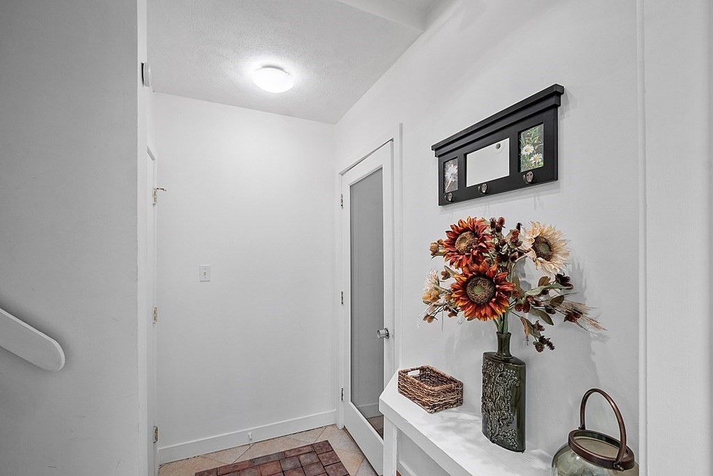 10 Orch Hl Road Harvard, MA 01451 - Photo 26 of 33 a view of a small space with a potted plant