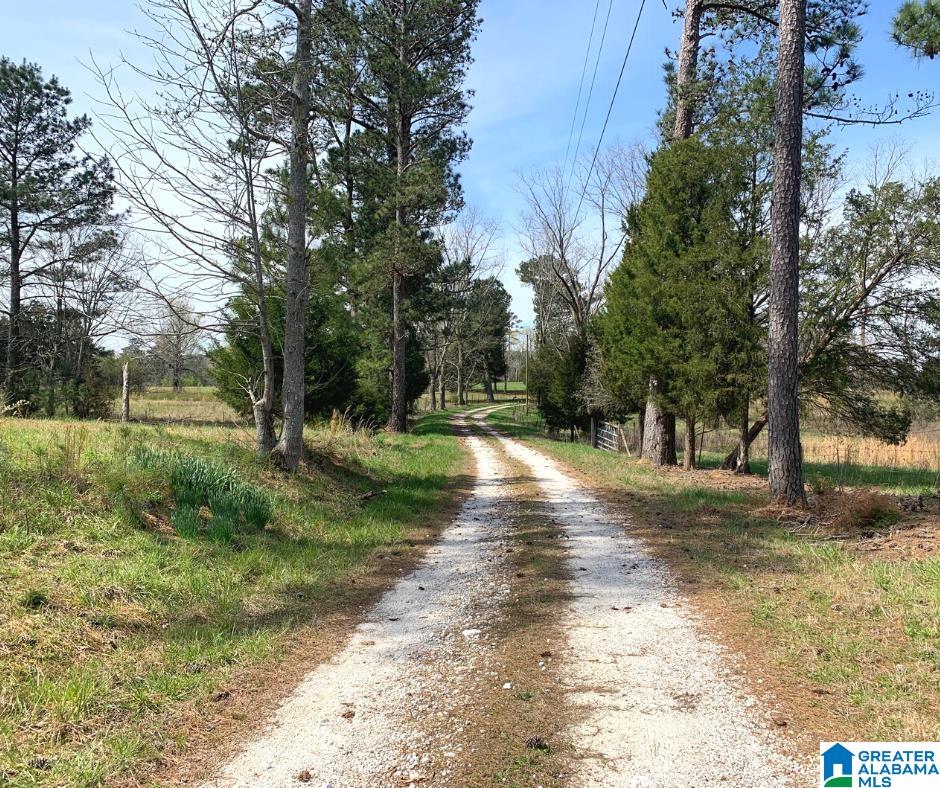 352 Daniel Road, Unit 97 17 ACRES Ohatchee, AL 36271 - Photo 16 of 17