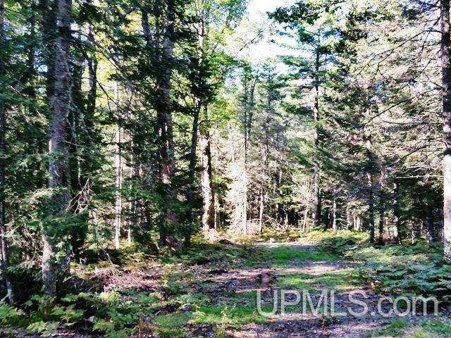 Tbd West Paint Lake Road, Unit J Iron River, MI 49935 - Photo 14 of 17