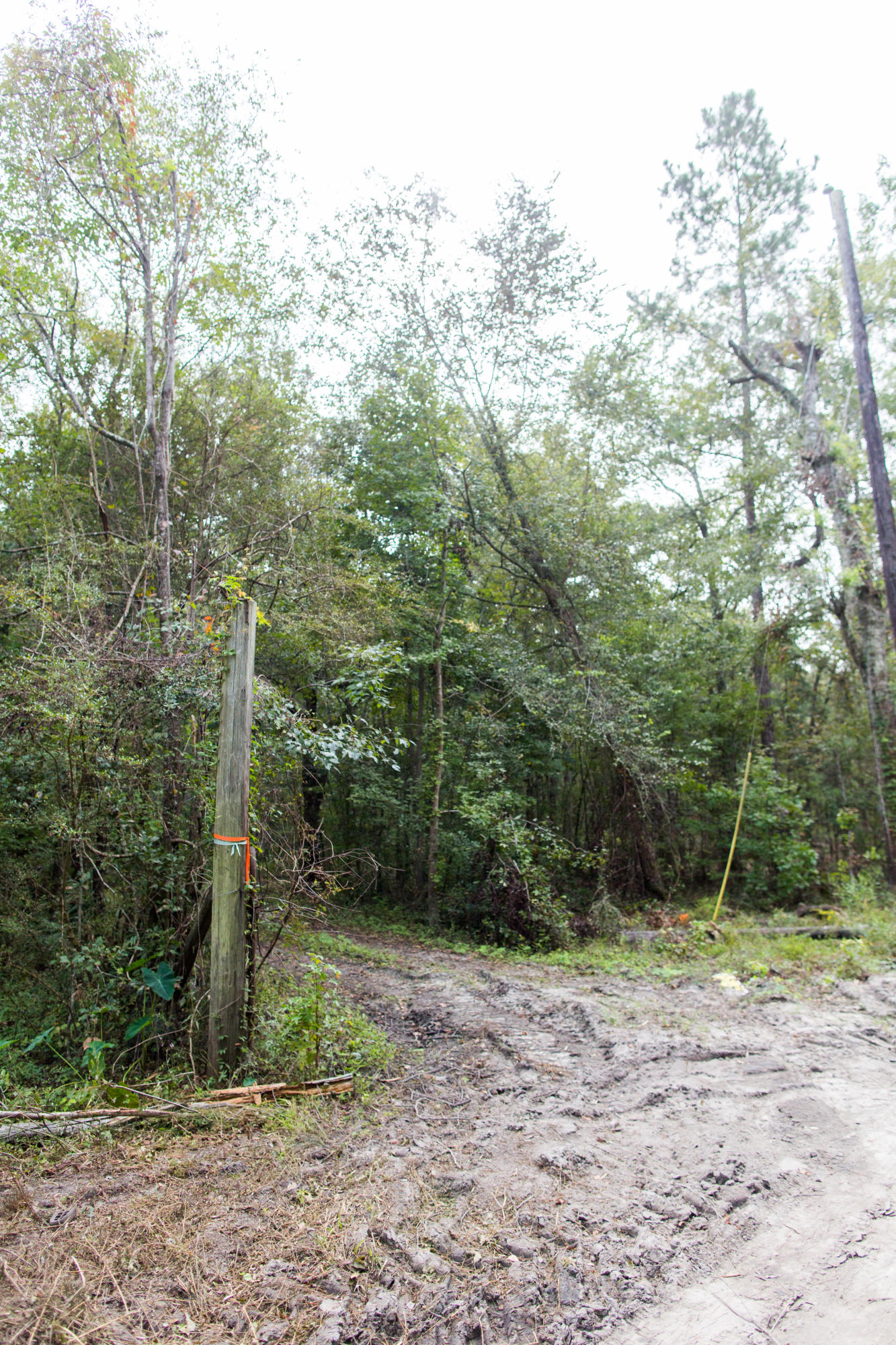 129 River Birch Lane Ridgeville, SC 29472 - Photo 2 of 5 129RiverBirch-1