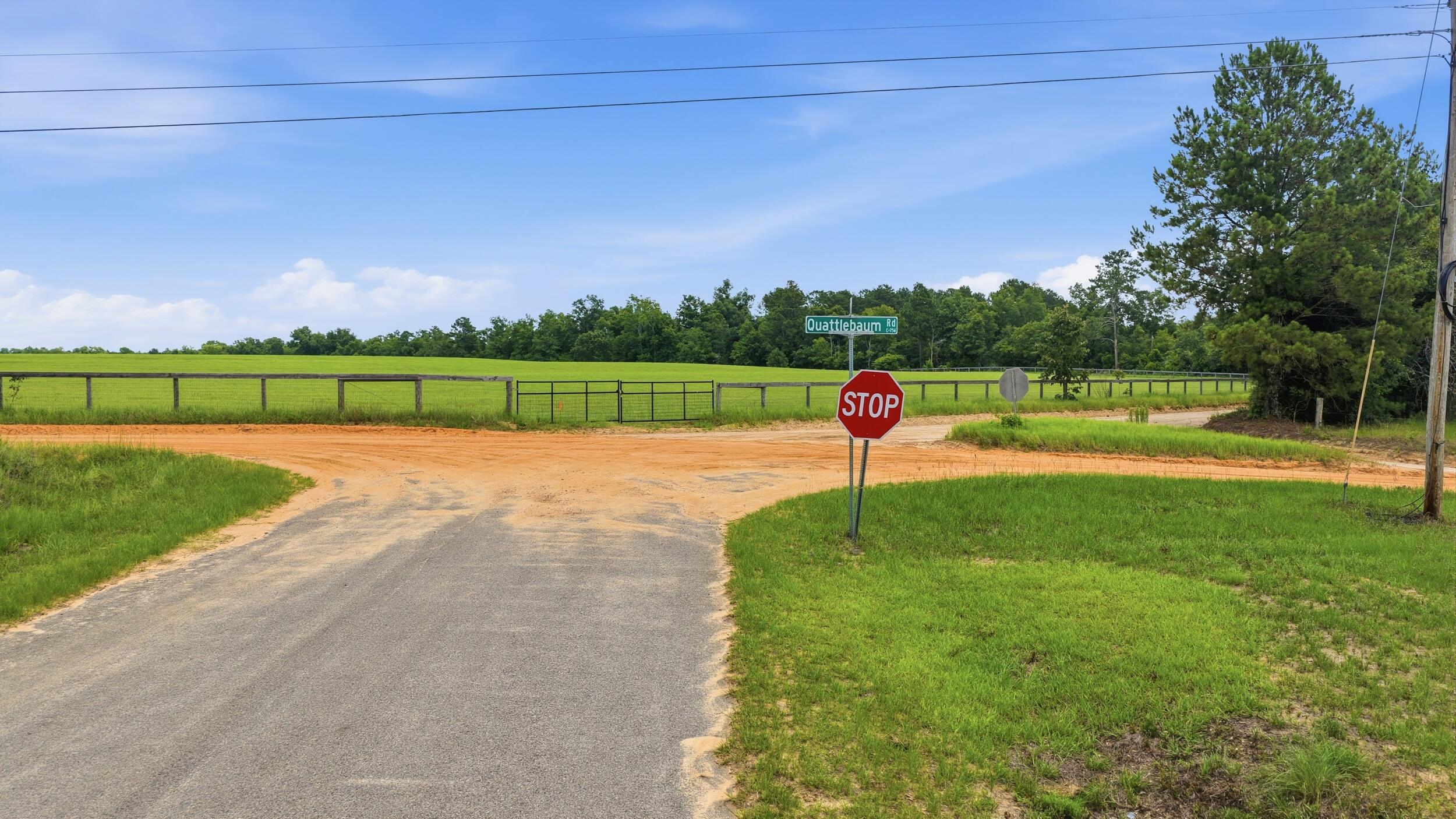0 Bodie Road Wagener, SC 29164 - Photo 8 of 21