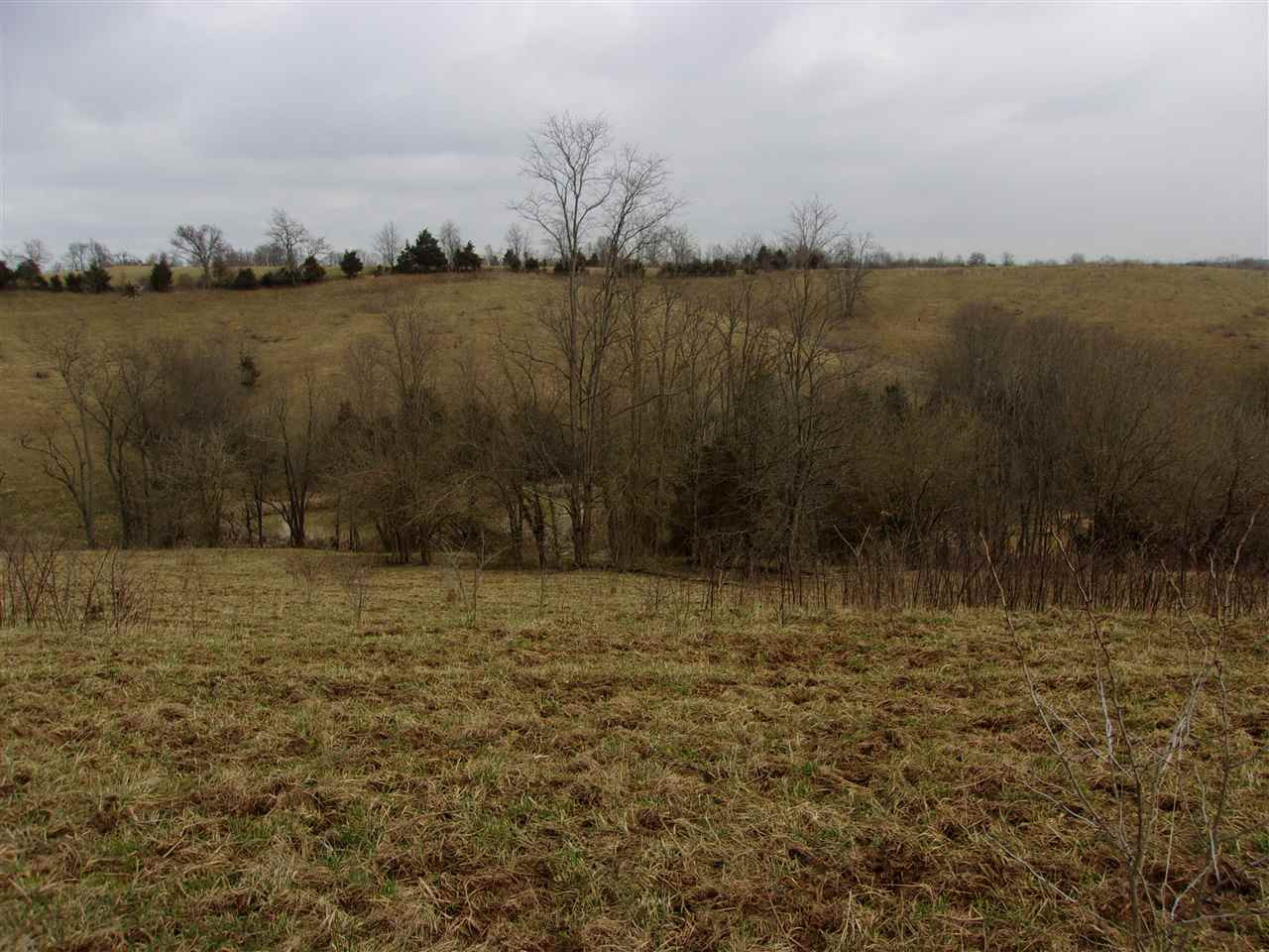 1827 Western Hills Road Foster, KY 41043 - Photo 9 of 37 Gallery Image 9