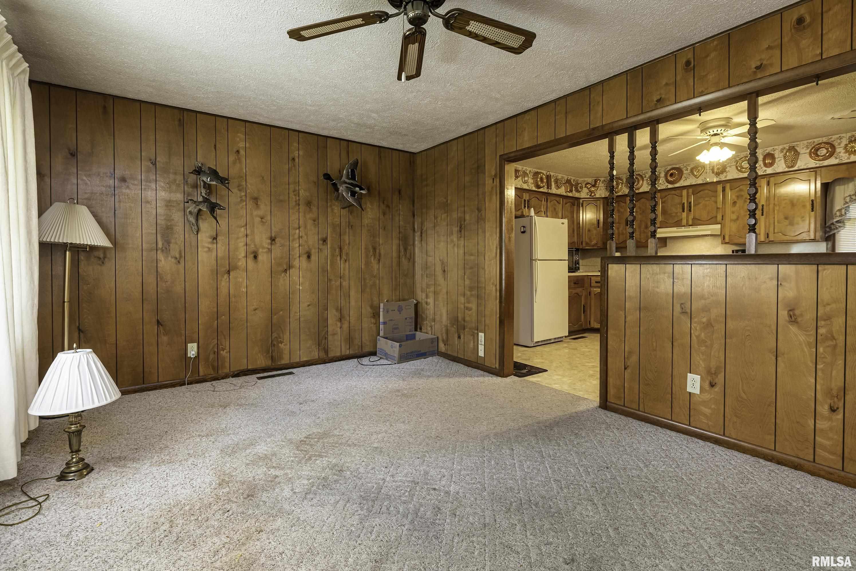 11748 Pease Road Marion, IL 62959 - Photo 7 of 19