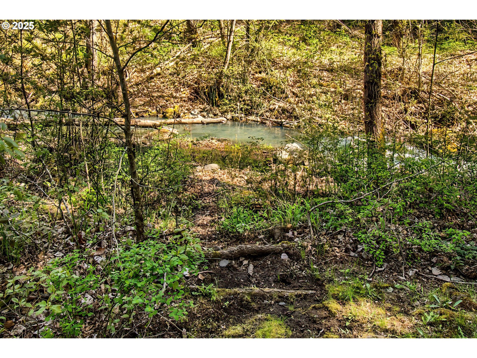 625 Wilson Road Mosier, OR 97040 - Photo 28 of 39