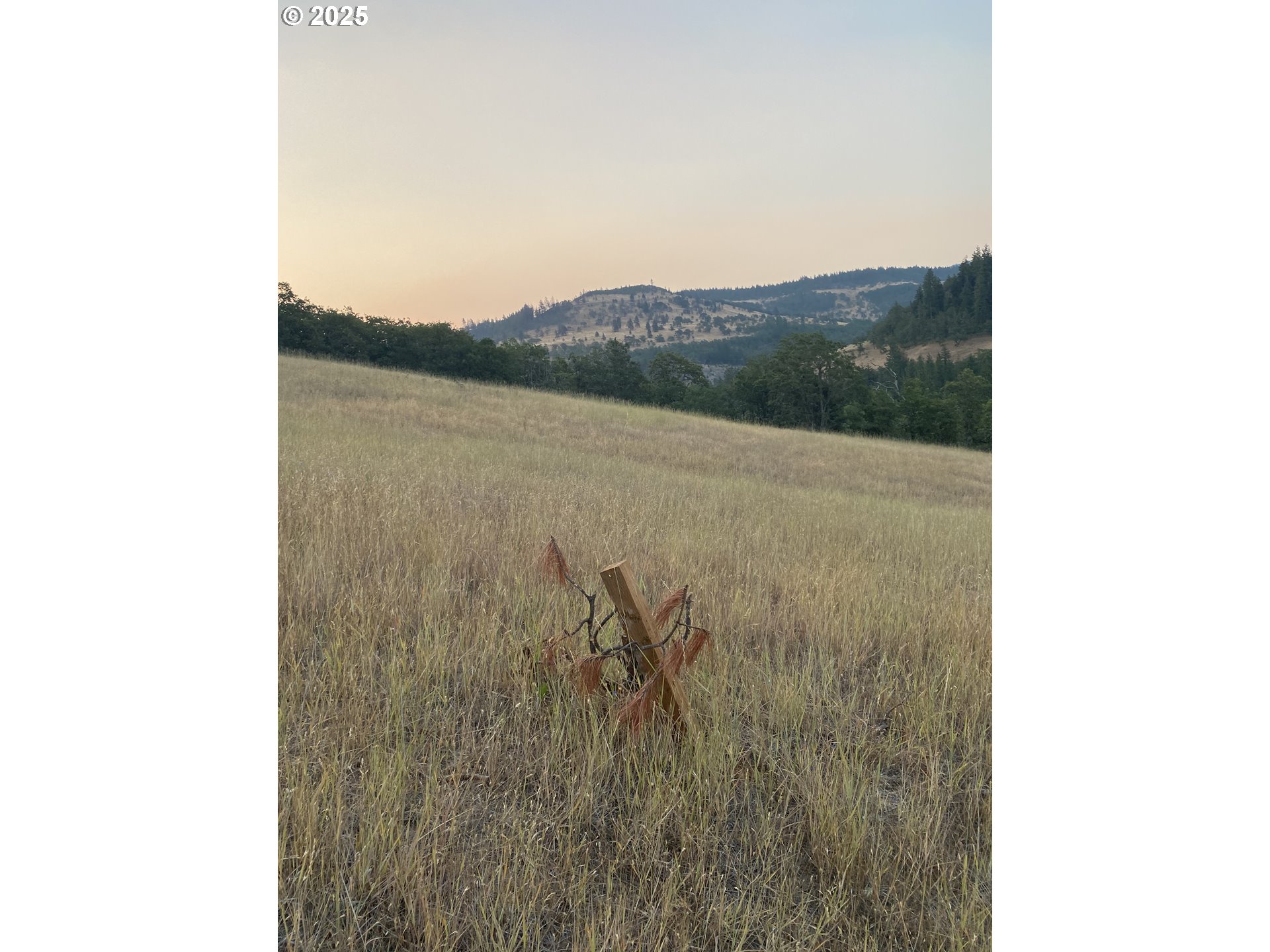 625 Wilson Road Mosier, OR 97040 - Photo 35 of 39