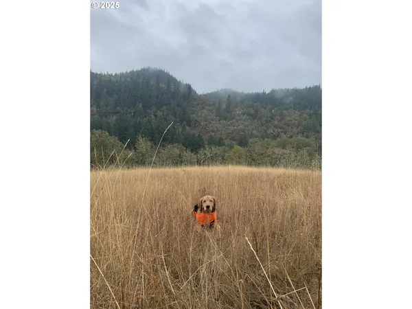 $550,000 | 625 Wilson Road, Mosier, OR 97040
