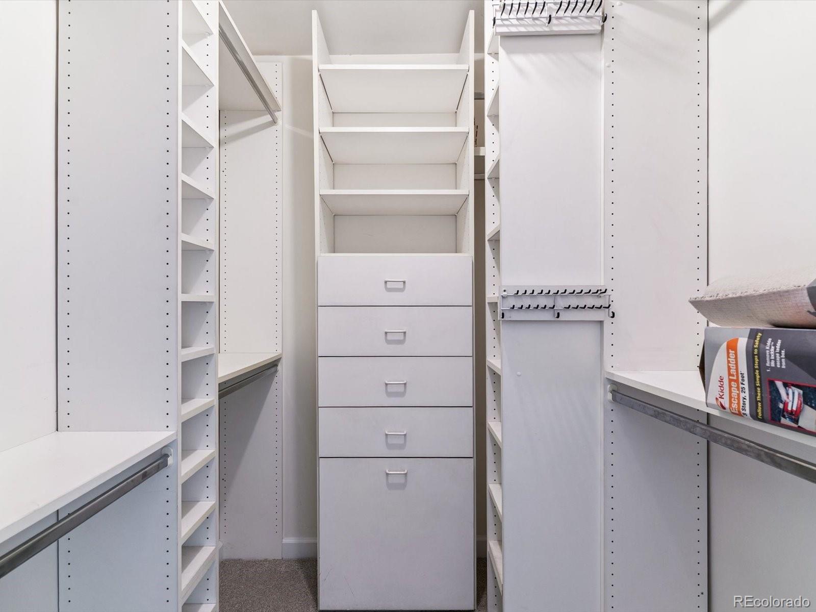 1111 Race Street, Unit 3A Denver, CO 80206 - Photo 23 of 39 a view of walk in closet with empty racks