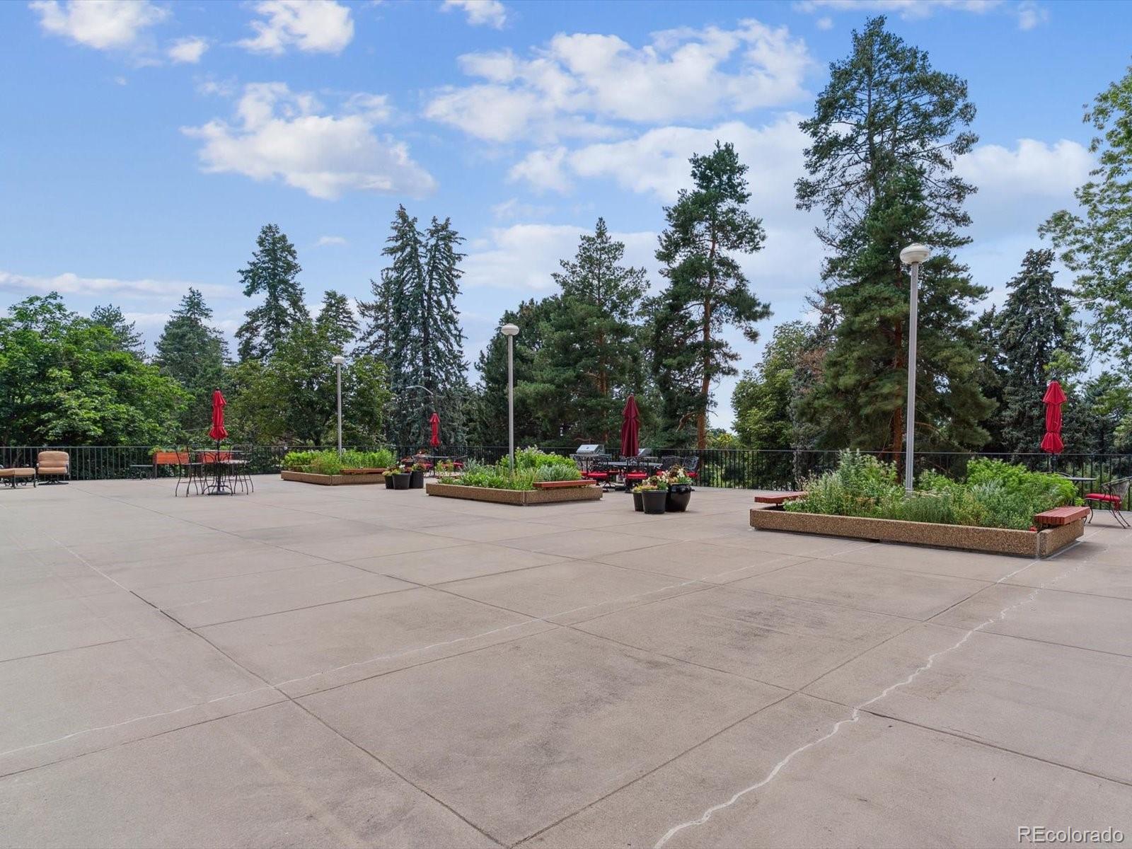 1111 Race Street, Unit 3A Denver, CO 80206 - Photo 29 of 39 a view of the roadside with trees