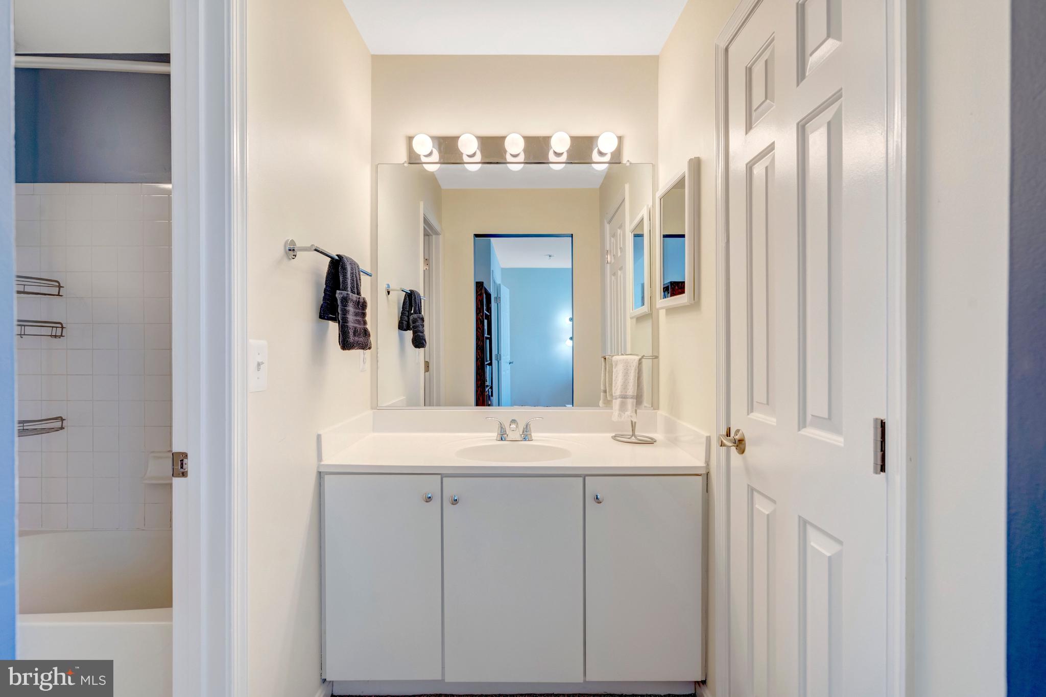 43546 Mink Meadows Street Chantilly, VA 20152 - Photo 36 of 48 a bathroom with a double vanity sink and a mirror