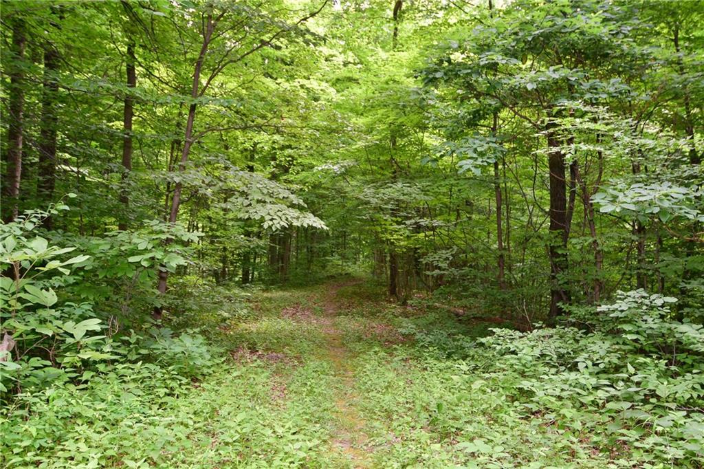 3565 Pitkin Road Martinsville, IN 46151 - Photo 25 of 32 Gallery Image 25