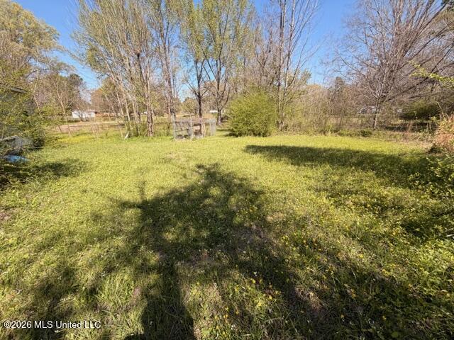 185 Carol Avenue Florence, MS 39073 - Photo 5 of 10 IMG_0744