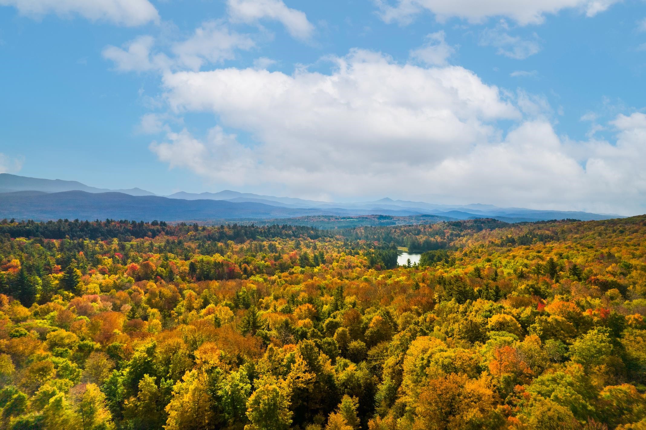 100 Devino Road Milton, VT 05468 - Photo 11 of 33 Gallery Image 11