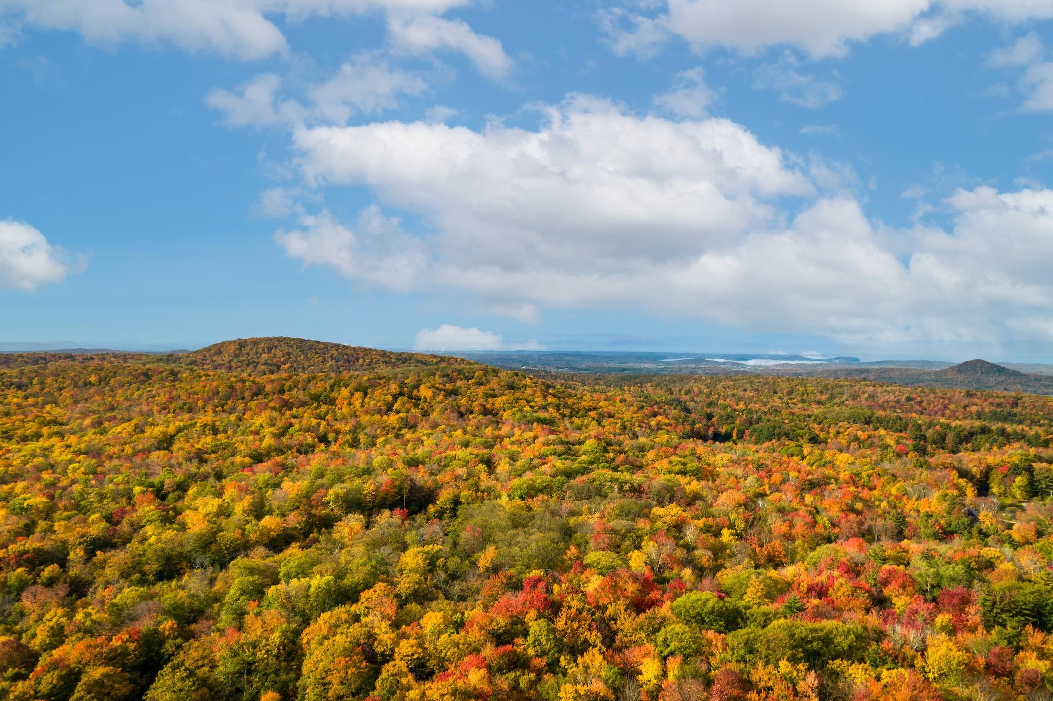 100 Devino Road Milton, VT 05468 - Photo 12 of 33 Gallery Image 12
