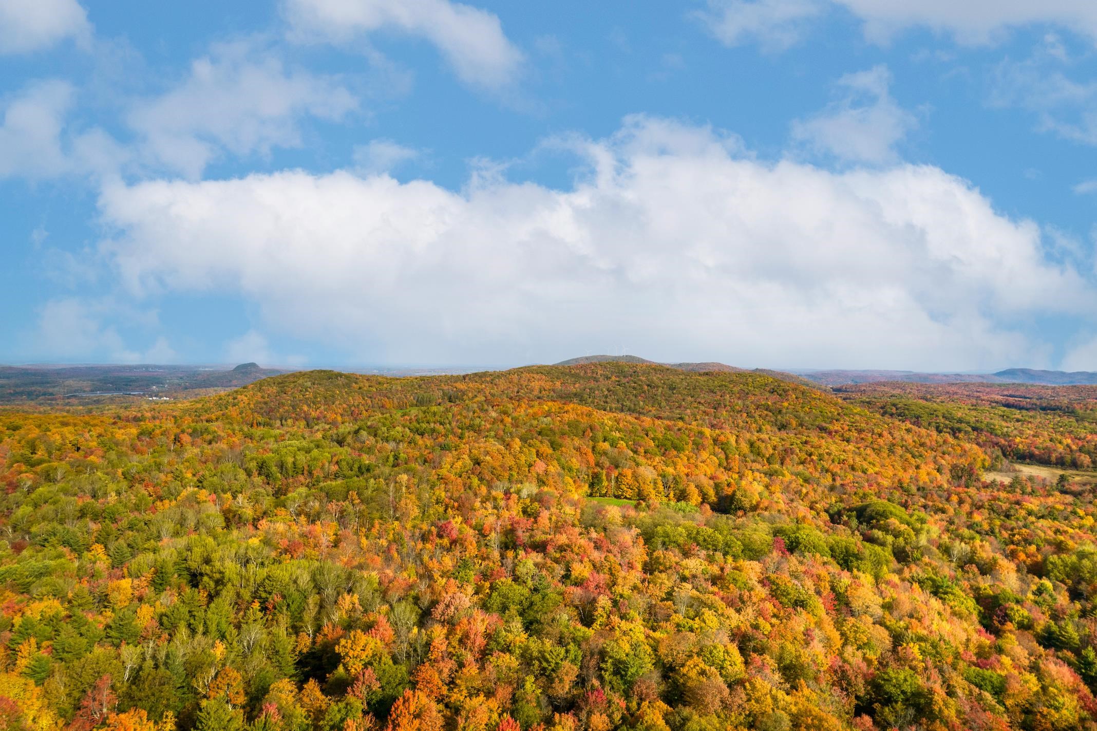 100 Devino Road Milton, VT 05468 - Photo 21 of 33 Gallery Image 21