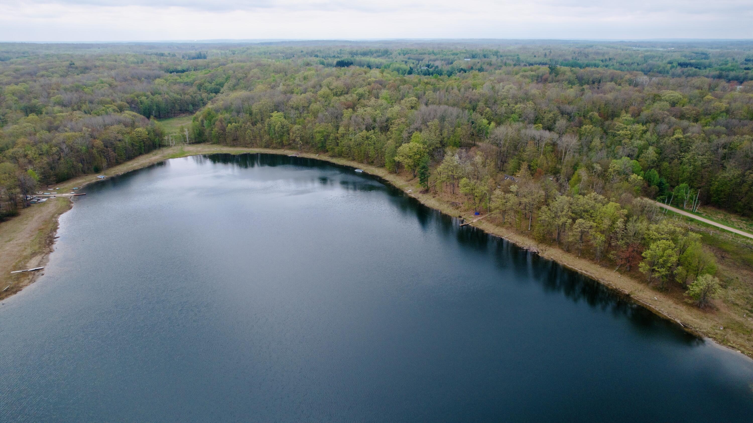 10289 Bern Drive Reed City, MI 49677 - Photo 53 of 57 DJI_0820