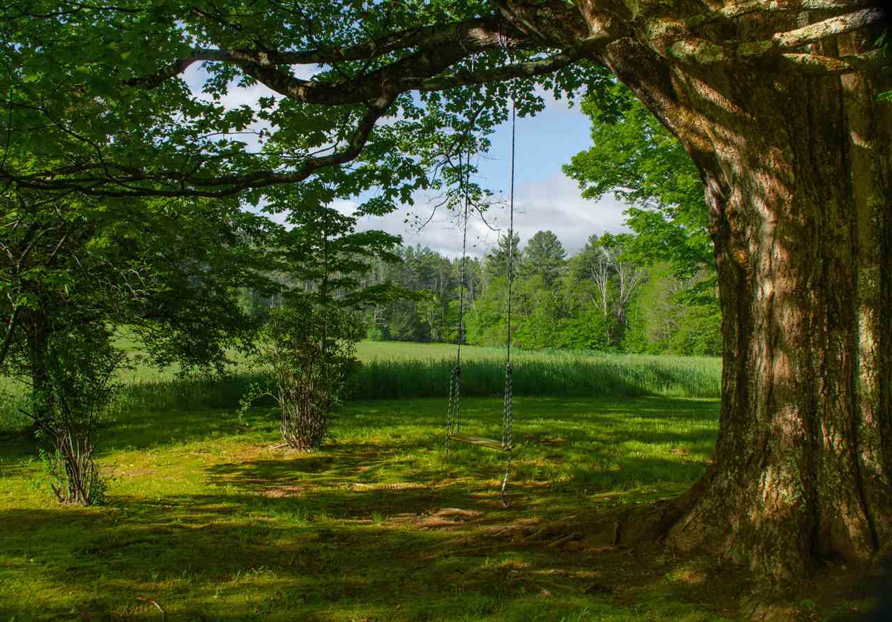 49 Carpenter Hill Road, Unit 240 & 239 Guilford, VT 05301 - Photo 12 of 37 Gallery Image 12