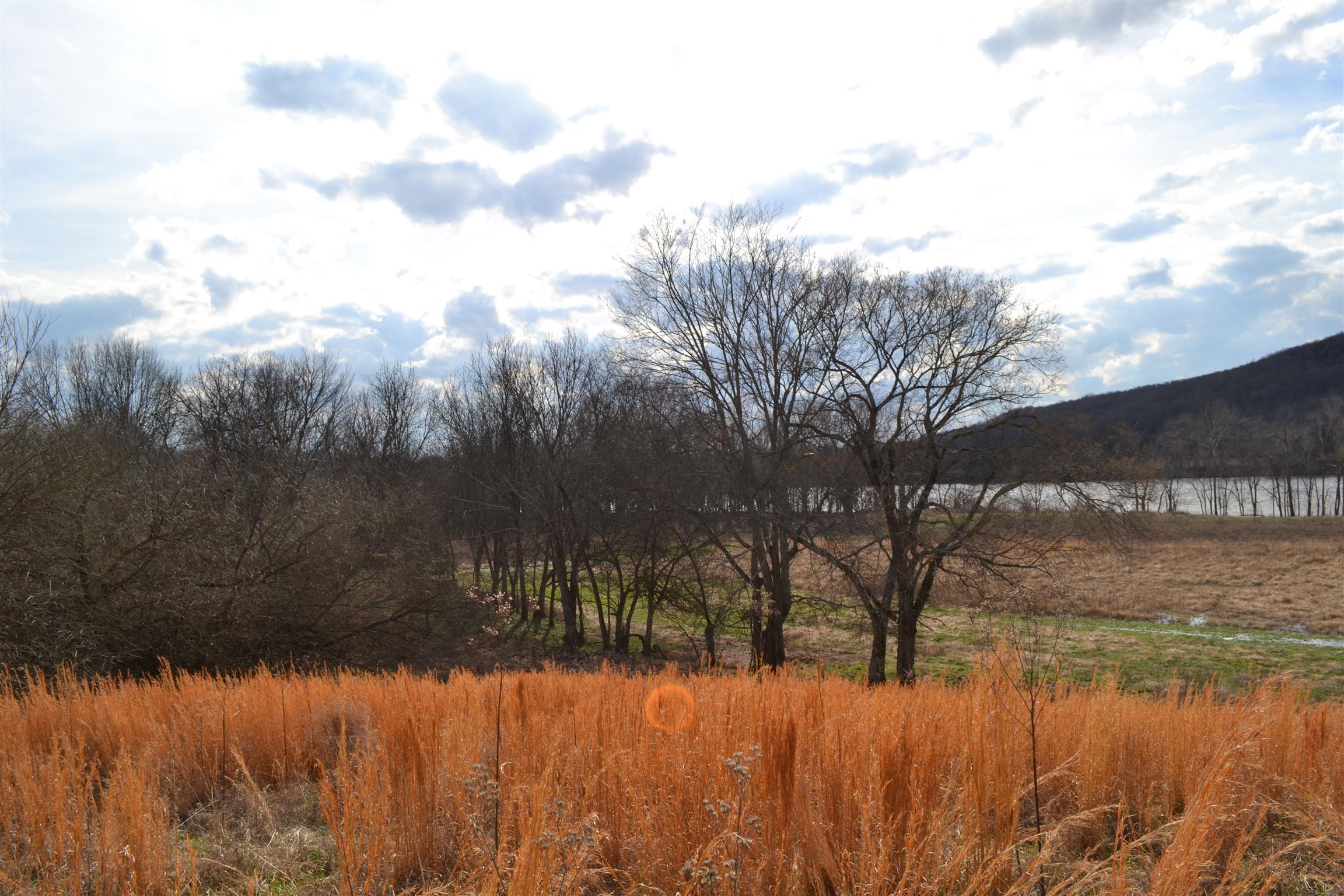1 Beasleys Bend Road Riddleton, TN 37151 - Photo 11 of 25 a view of lake