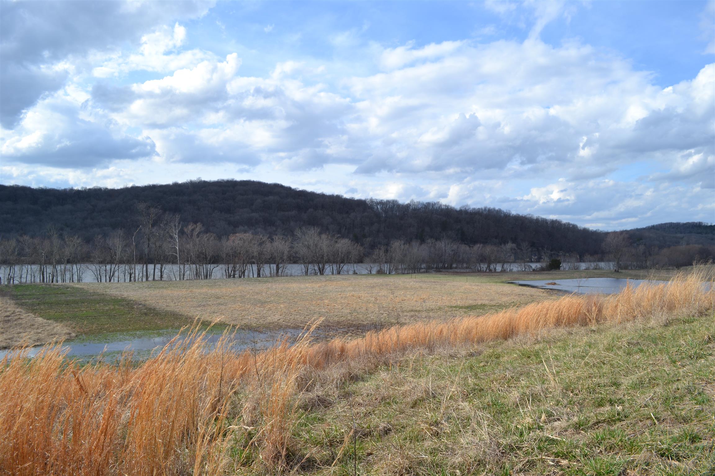 1 Beasleys Bend Road Riddleton, TN 37151 - Photo 12 of 25 a view of lake view and mountain