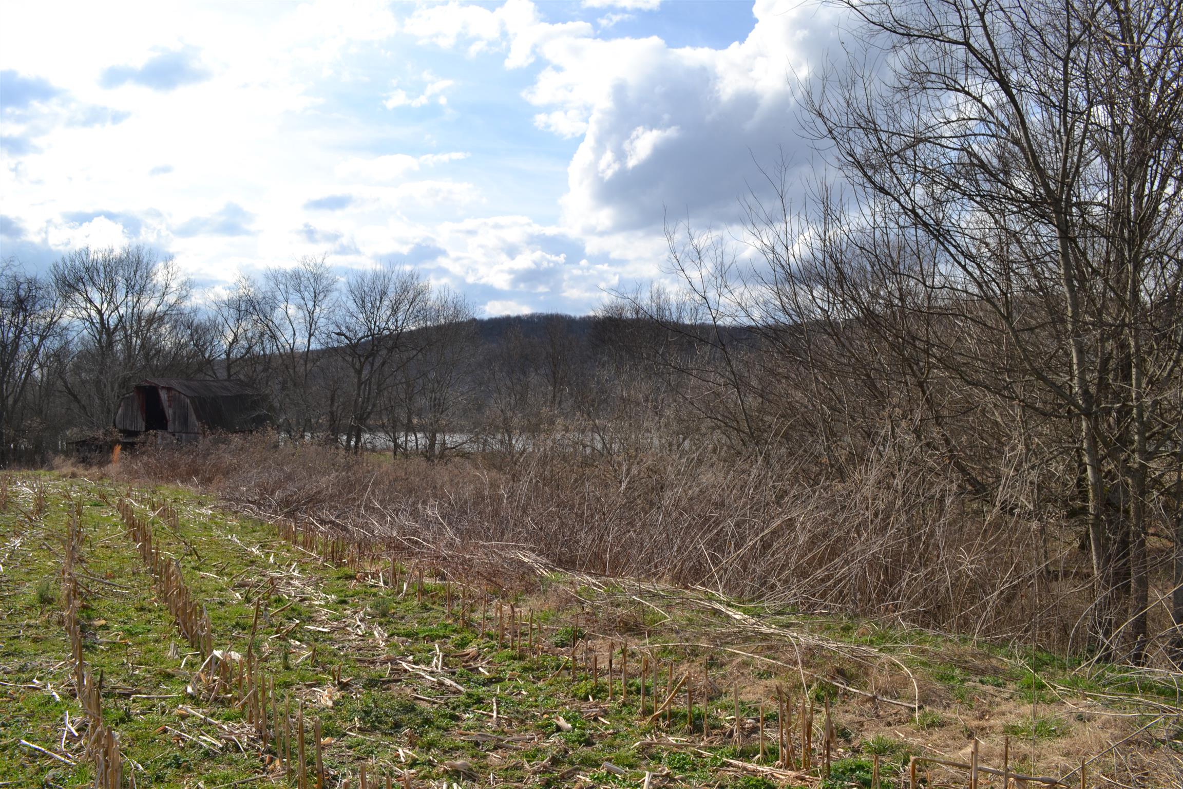 1 Beasleys Bend Road Riddleton, TN 37151 - Photo 15 of 25 a view of a yard
