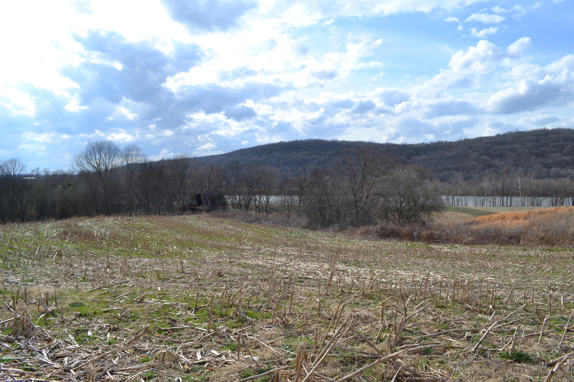 1 Beasleys Bend Road Riddleton, TN 37151 - Photo 19 of 25 a view of a backyard