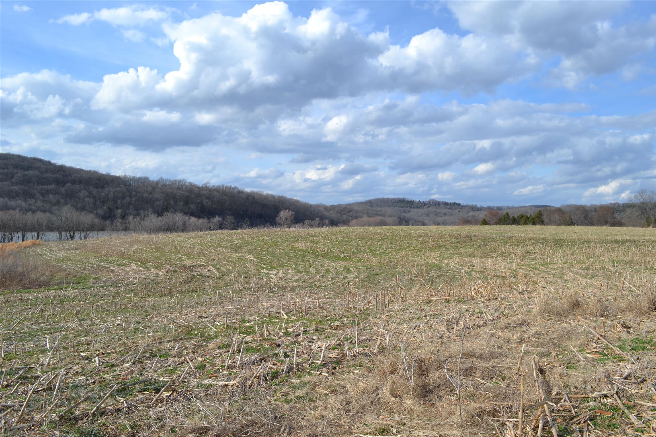 1 Beasleys Bend Road Riddleton, TN 37151 - Photo 20 of 25 a view of city and lake