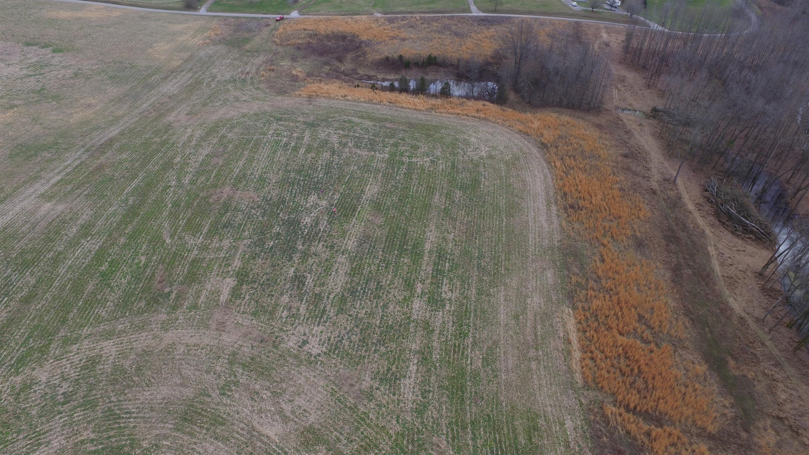 1 Beasleys Bend Road Riddleton, TN 37151 - Photo 21 of 25 a view of a dry yard