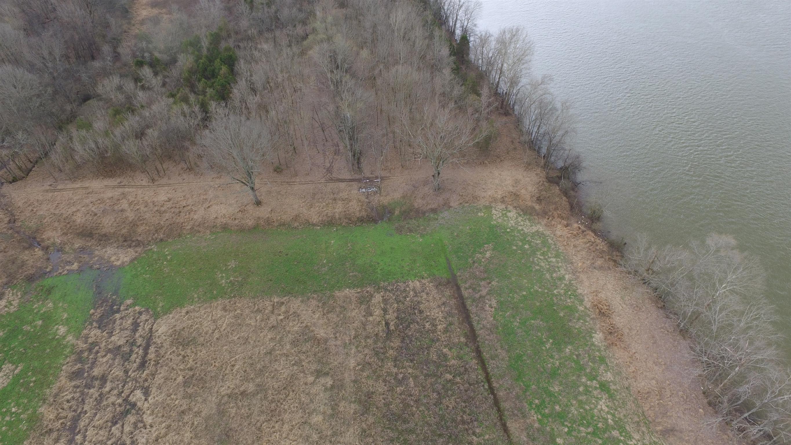 1 Beasleys Bend Road Riddleton, TN 37151 - Photo 25 of 25 a view of a backyard with plants