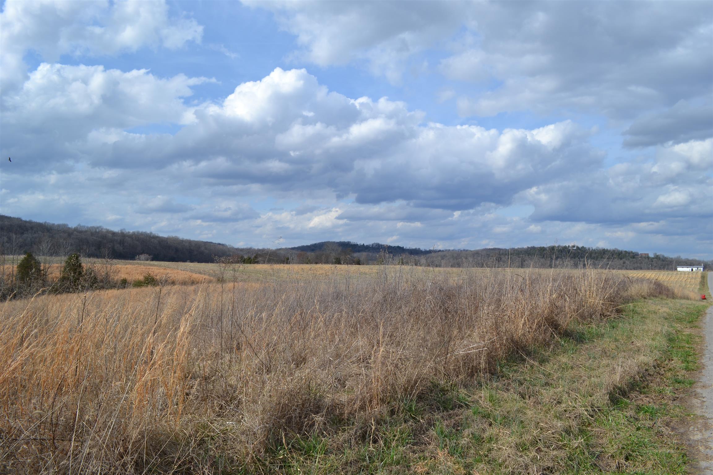 1 Beasleys Bend Road Riddleton, TN 37151 - Photo 4 of 25 a view of lake with green space