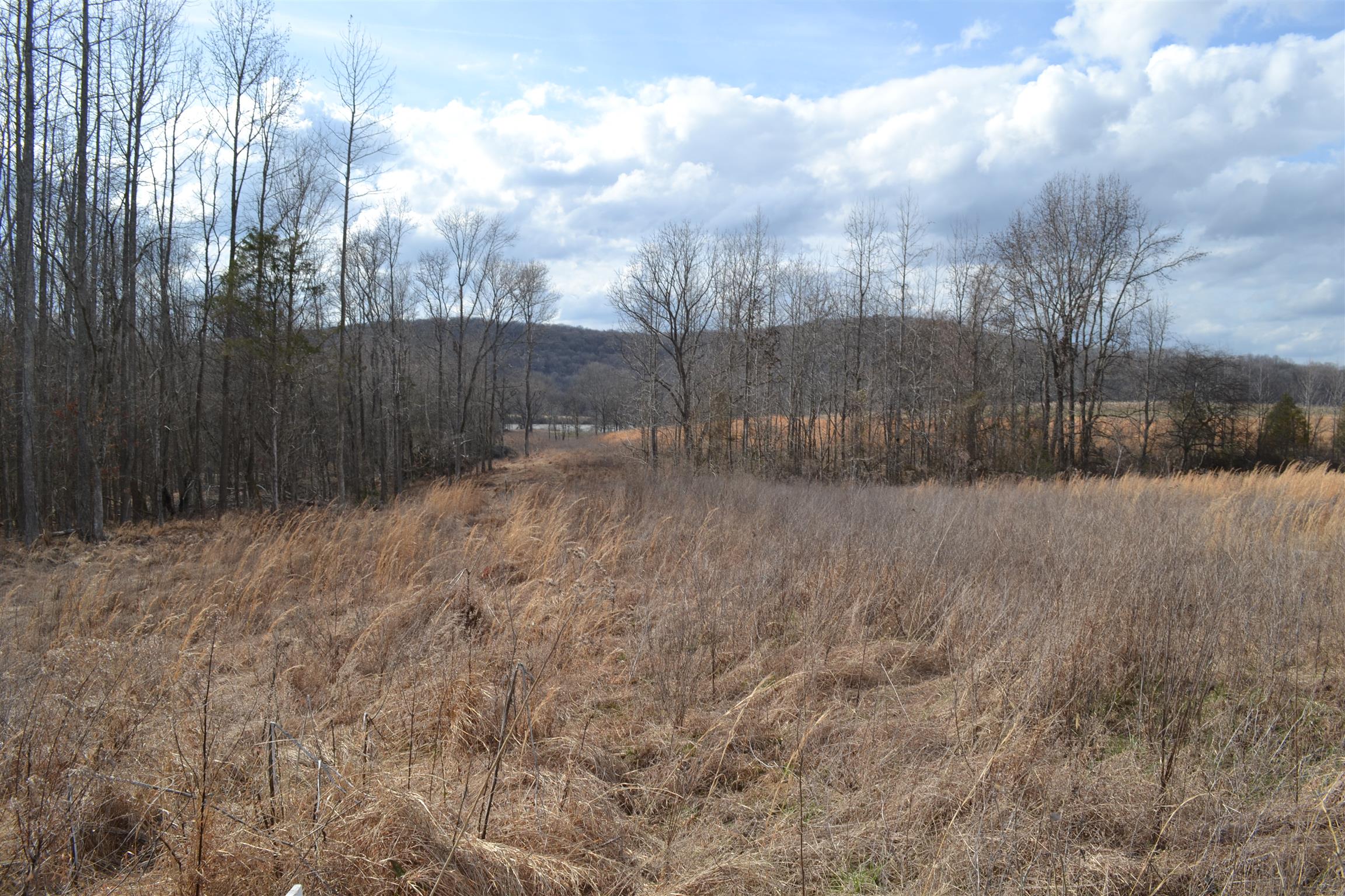1 Beasleys Bend Road Riddleton, TN 37151 - Photo 5 of 25 a view of a yard