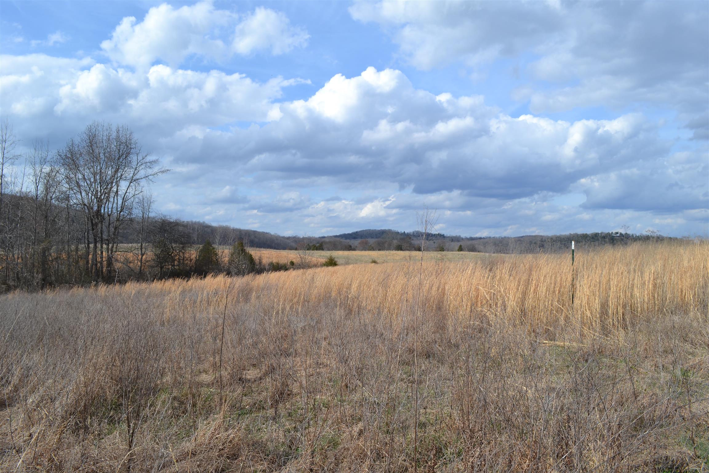 1 Beasleys Bend Road Riddleton, TN 37151 - Photo 6 of 25