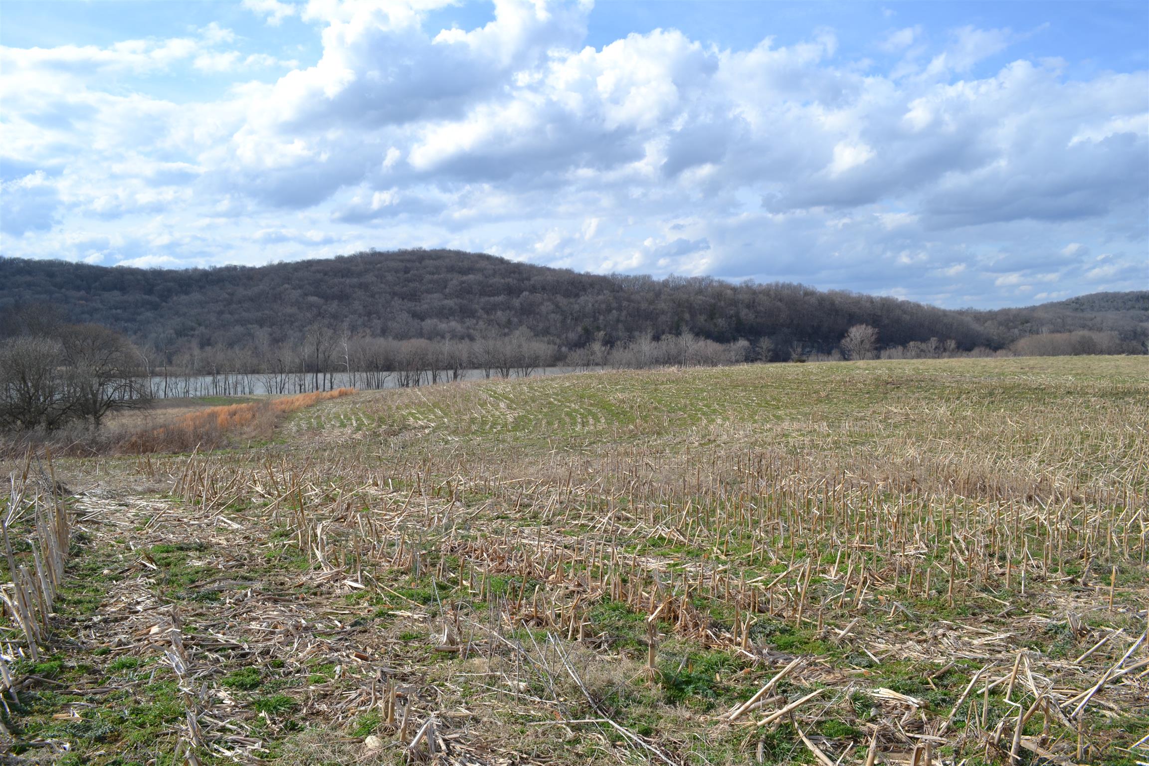1 Beasleys Bend Road Riddleton, TN 37151 - Photo 8 of 25 a view of an outdoor space and mountain view