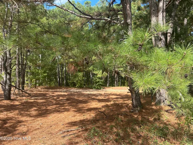 $350,000 | 74 Hwy W Lumberton Nc 28360 Highway West, Lumberton, NC 28360